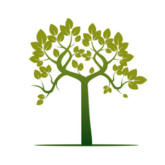 Obraz premium Shape of Green Tree. Vector Illustration.