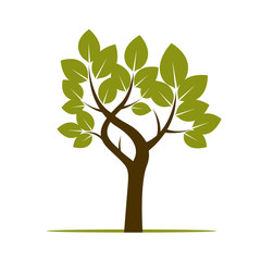 Shape of Green Tree. Vector Illustration.