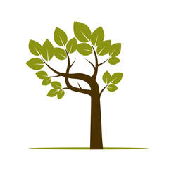 Obraz premium Shape of Green Tree. Vector Illustration.
