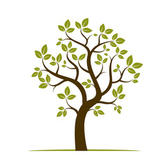 Fototapeta na wymiar Shape of Green Tree. Vector Illustration.