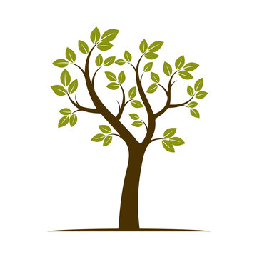 Shape of Green Tree. Vector Illustration.