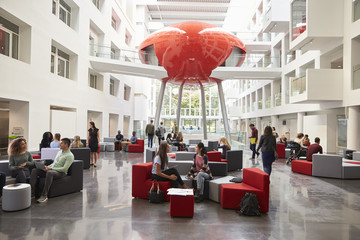 Students sit talking in the atrium lobby of their university - obrazy, fototapety, plakaty