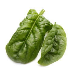 Obraz premium Baby spinach leaves isolated on white background cutout