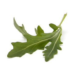 Sweet rucola salad or rocket lettuce leaves isolated on white ba