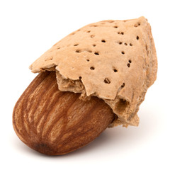 Almond nut in shell and shelled isolated on white background clo