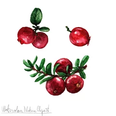 Deurstickers Watercolor Nature Clipart - Cranberry © nataliahubbert