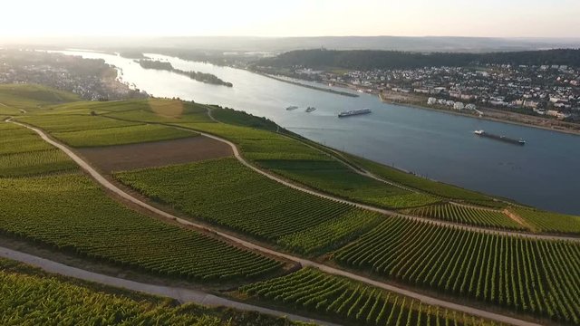 Aerial view vineyards and Niederwalddenkmal Ruedesheim - Rheingau, Germany