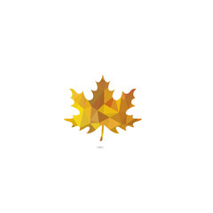 Isolated polygonal maple leaf vector design