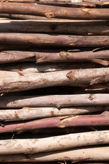 Pile of wood logs Background.