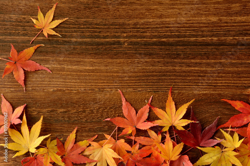 モミジの紅葉 木目背景 Wall Mural Wallpaper Murals Tamayura39 モミジの紅葉 木目背景 Wall Mural Wallpaper Murals Tamayura39