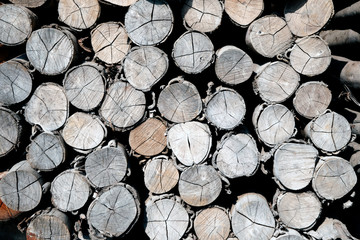 Pile of wood logs Background.