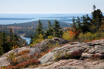 Cadillac Mountain View