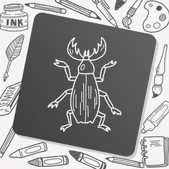 beetle doodle