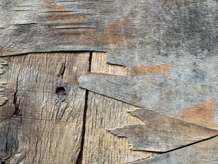 Old wood texture
