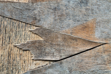 Old wood texture