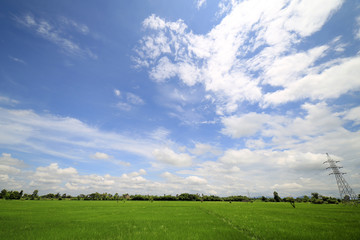 Landscape of a peaceful rice field on clouds and sky background : Thailand 