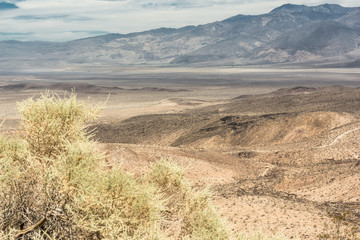 Dunes in the Death Valley National Park, California
