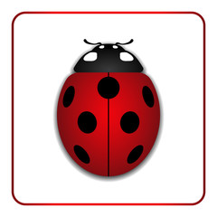 Ladybug small icon. Red lady bug sign, isolated on white background. 3d volume design. Cute colorful ladybird. Insect cartoon beetle. Symbol of nature, spring or summer. Vector illustartion