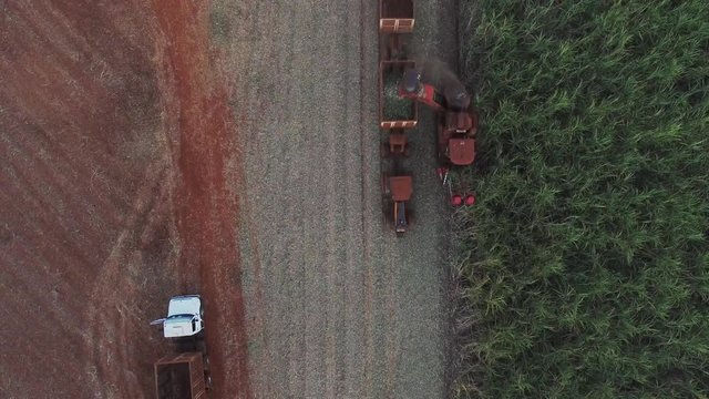 Mechanical harvesting sugar cane field at sunset in Sao Paulo Brazil - Aerial drone dolly following tractor and combine harvesting sugar cane field - sugar cane plantation