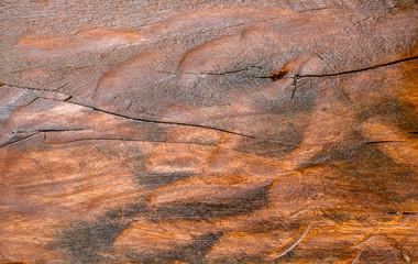 Close up rustic wood floor  texture background