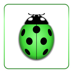 Ladybug small icon. Green lady bug sign, isolated on white background. 3d volume design. Cute colorful ladybird. Insect cartoon beetle. Symbol of nature, spring or summer. Vector illustration