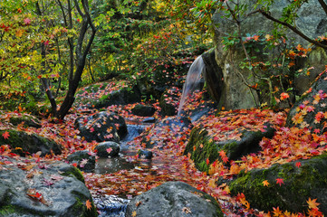 Waterfall and Autumn Leaves in Rocky Stream in Forest