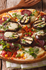 Italian pizza with eggplant, sausage, corn and cheese macro on a board. vertical
