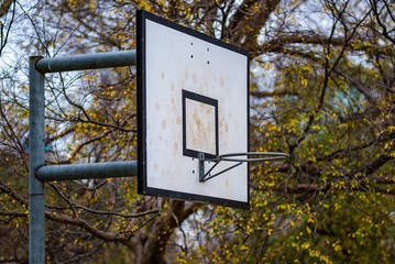 Basketball hoop in city park