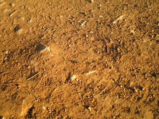 Earth