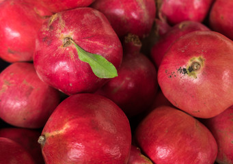 Pomegranates for sale at the city farmers market