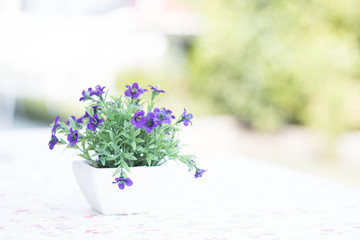 Bouquet of beautiful spring flowers