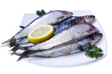 dish of sardines with parsley and lemon isolated