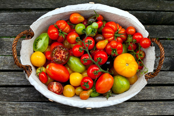 colorful tomatoes in basket