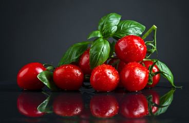 tomatoes with green basil