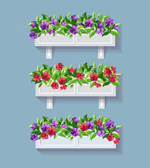 Flower pots. Window flowers. Petunia. Floral set.