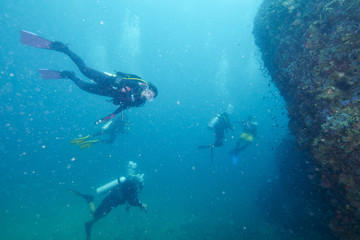 Fototapeta premium Divers and coral reef