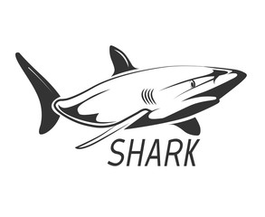 Shark logo in black isolated on white