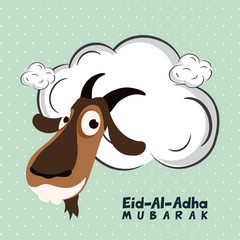 Goat face for Eid-Al-Adha Celebration.