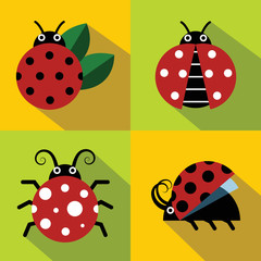 Ladybug icons in flat style on color background