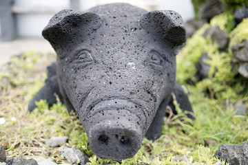 stone pig