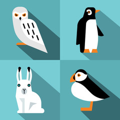 Polar animals in flat style with long shadow