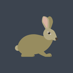 Vector rabbit illustration.