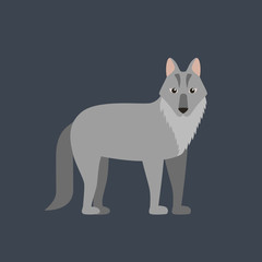 Vector wolf flat  illustration.