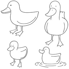 vector set of duck