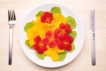 皿の上の橙色と黄色のキンレンカの花