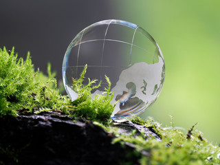Large clear glass ball lying on the moss. Concept - lightness, transparency of relations, cleanliness, ecology