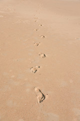 Fototapeta na wymiar footprint on sand beach in summer time.