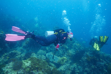 Fototapeta na wymiar Divers and coral reef