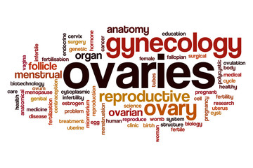 Ovaries word cloud