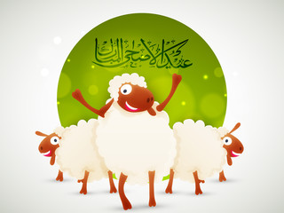 Sheeps for Eid-Al-Adha Mubarak.